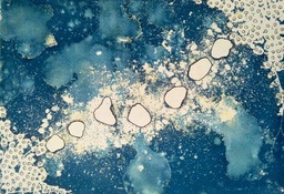 Cyanotype Photography by Manjula &quot;Bridge&quot; - 2023 size cm. Original