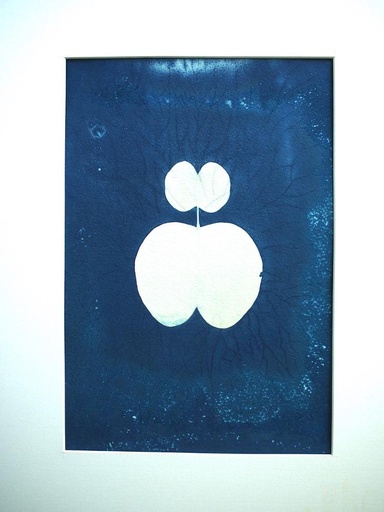 Original Cyanotype by Saravana "Mythical Reveal 4" - 2023 - size: 21 x 29,7 cm